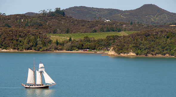 Paihia activities