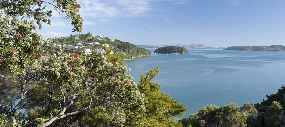 The Retreat - Bay of Islands